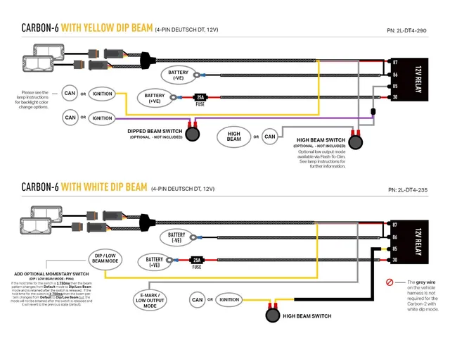 Lazer Grillkit - 2x Carbon-6 Drive Ford F-150 Raptor 2024-> 