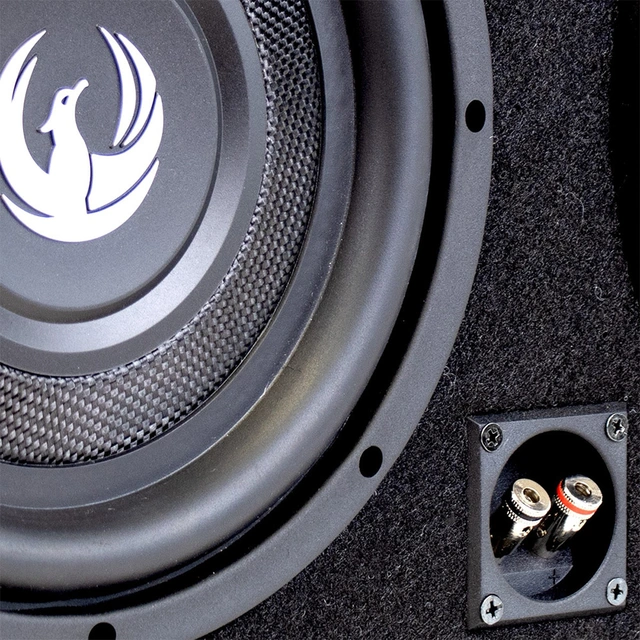 Phoenix Gold ZX210PBSi basskasse 2x10" i kasse, 350W RMS, 2 Ohm 