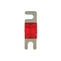 ACV Mini ANL sikringer Silver 50A, 4 stk