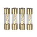 ACV AGU sikringer Gold 40A, 4 stk