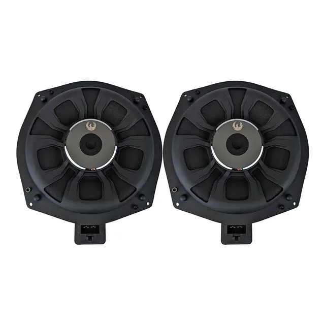 Phoenix Gold ZDSB200S Subwoofer for BMW Spesialtilpasset BMW, Pris per par 