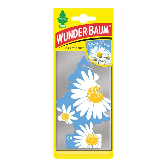 Wunder-Baum daisy flower Daisy flower 