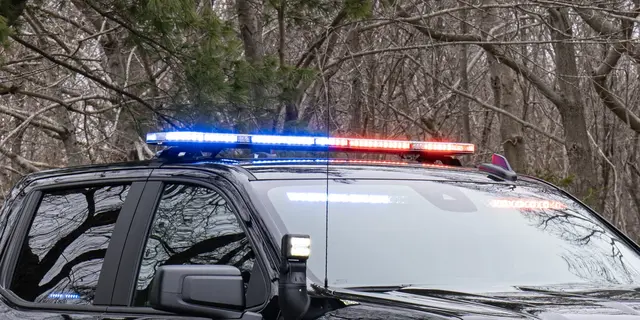 Whelen® Edge 9XS 59" 12V 150cm, 8 Gule moduler, justerbar fot 